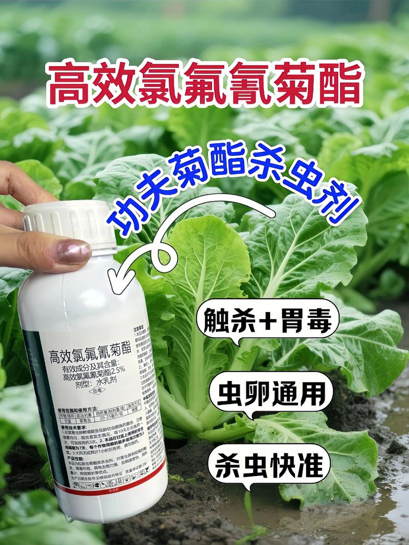 贵港代生中心:农药对供卵代生妈妈的危害